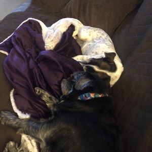 Meet your Posher, Dan